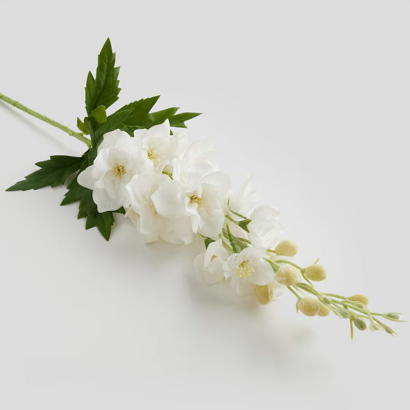 Kvet LARKSPUR